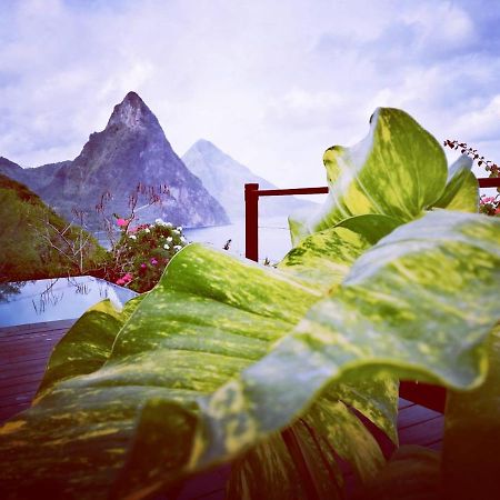 Moringa Villa Studio 1 Soufrière Eksteriør bilde