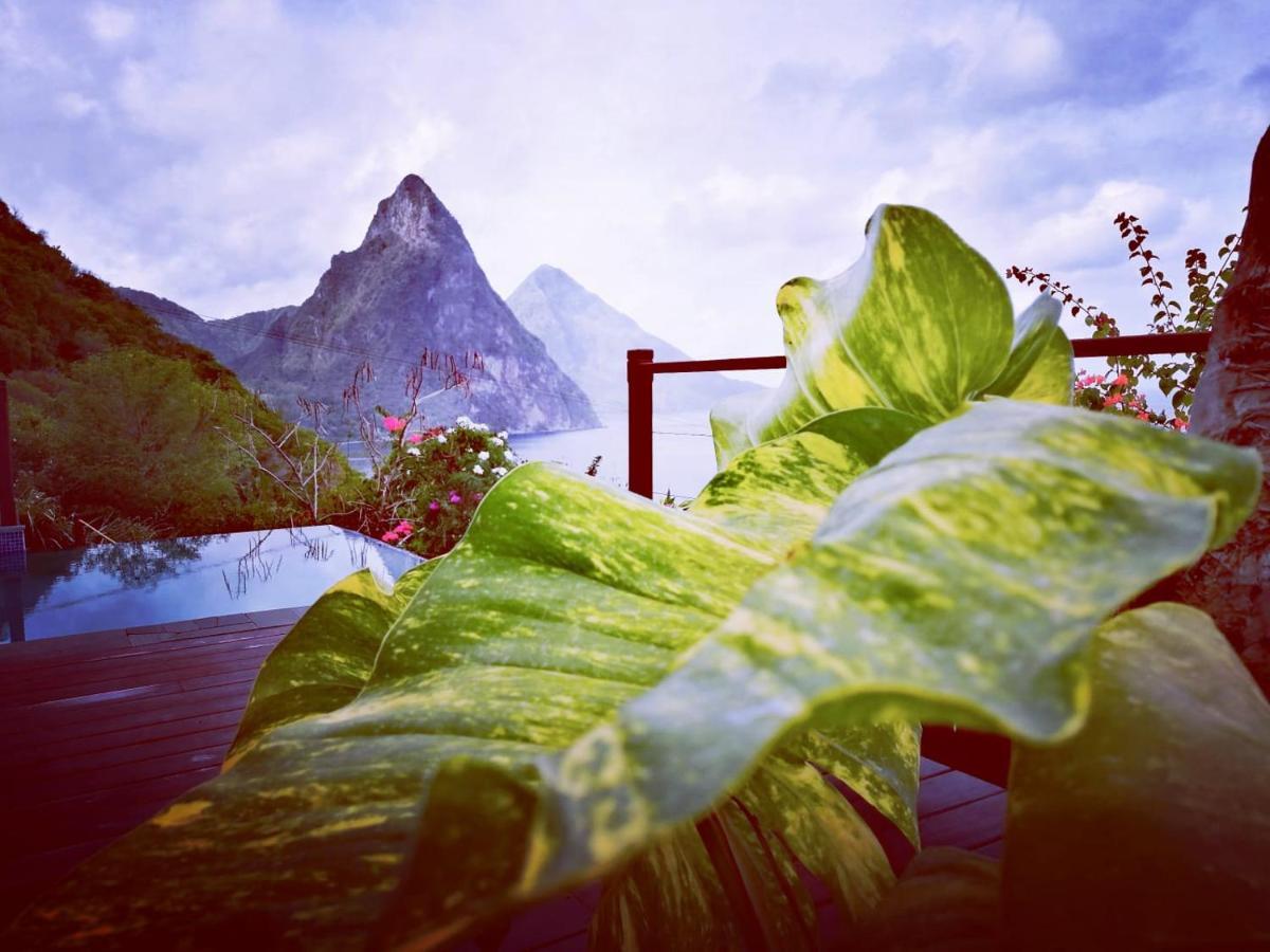 Moringa Villa Studio 1 Soufrière Eksteriør bilde
